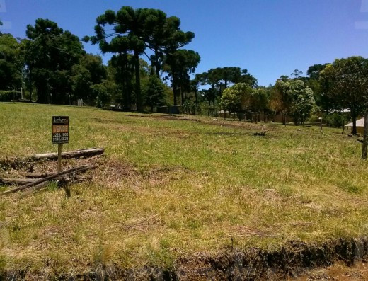 Terreno Com 2.332,80 M